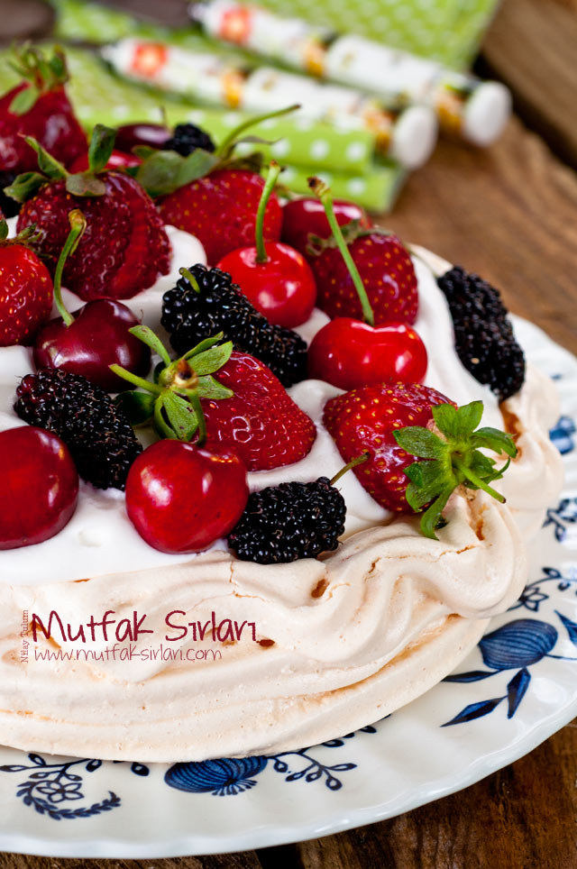 pavlova nedir