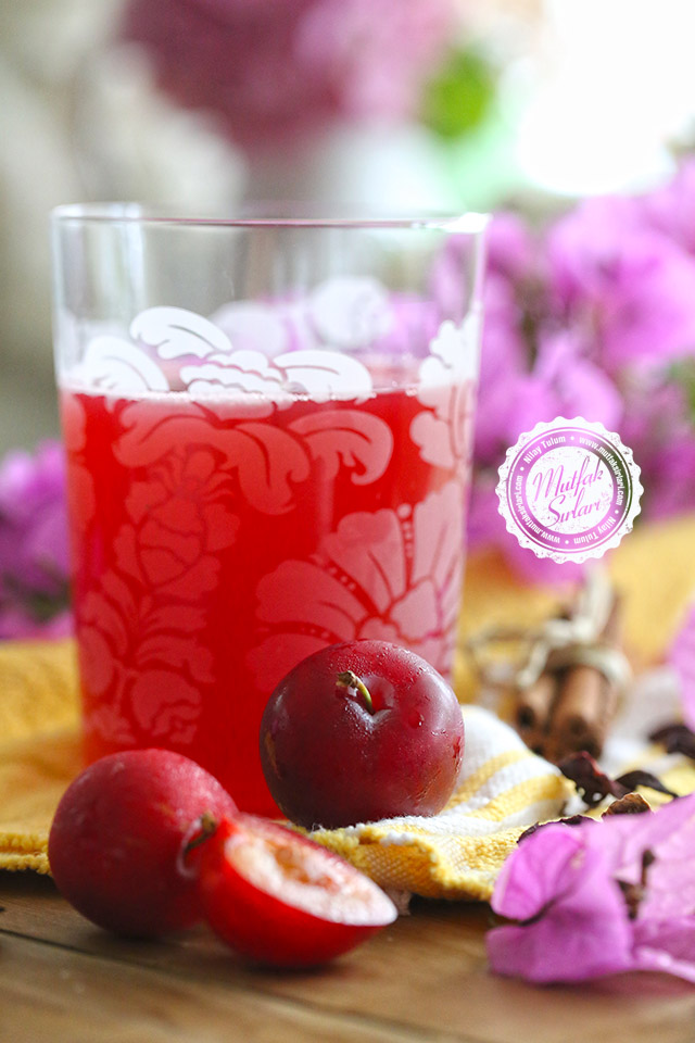 Kırmızı Erik Şerbeti (Hibiskuslu)