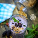 Yulaflı Karadut Smoothie