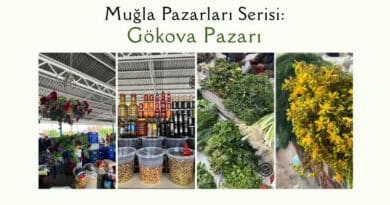 Gökova Pazarı