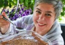 Spoonful – Kaşık Dolusu Tatlı